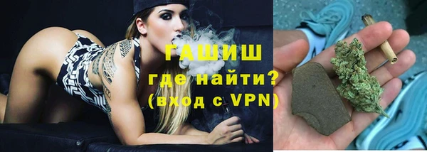 индика Богородск