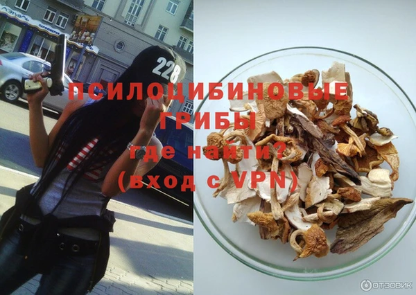 индика Богородск