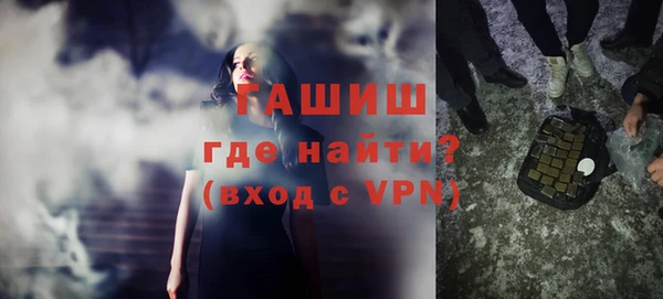 индика Богородск
