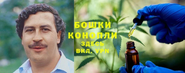 индика Богородск