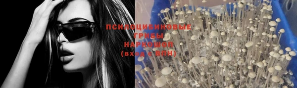 метамфетамин Богданович