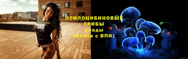 бошки Богородицк