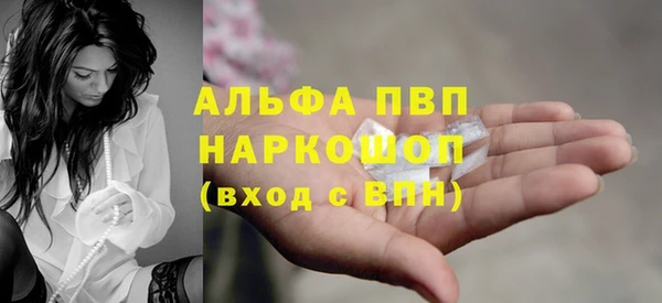 индика Богородск