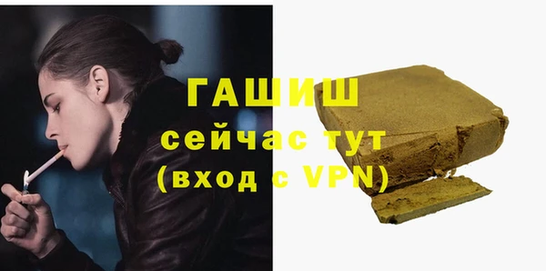 индика Богородск