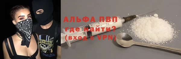индика Богородск