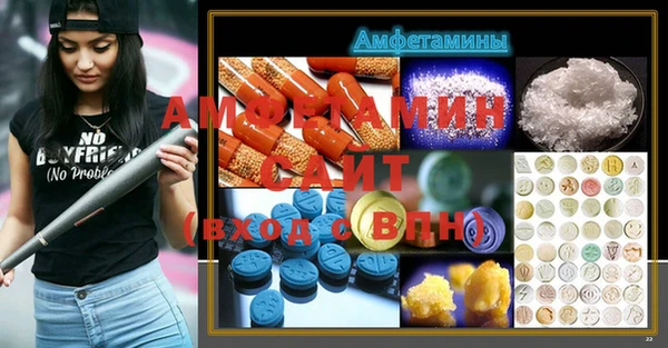 индика Богородск