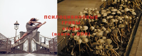 метамфетамин Богданович