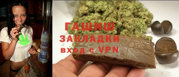 индика Богородск