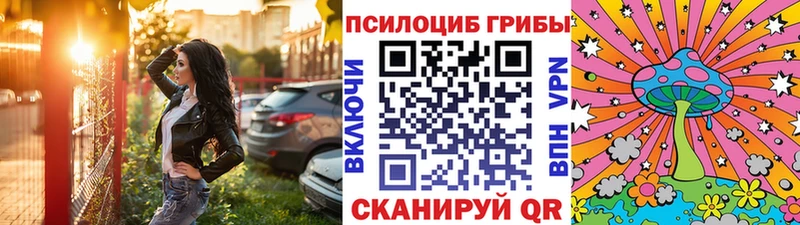 Псилоцибиновые грибы MAGIC MUSHROOMS darknet Telegram Мыски закладка